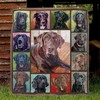 Dog Labrador Color Bed Set for Teens with Quilt Blanket