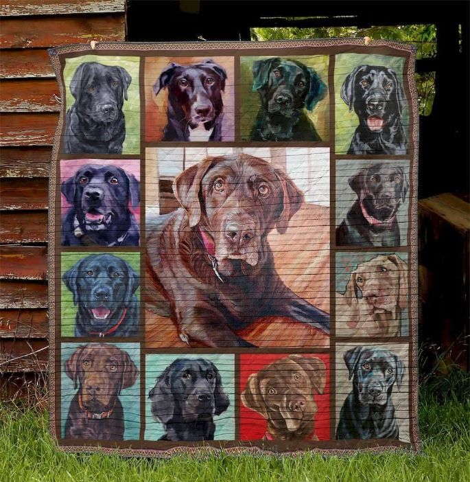 Dog Labrador Color Bed Set for Teens with Quilt Blanket