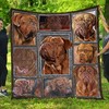 Dogue De Bordeaux Quilt Blanket - Ideal for Dog Lovers