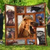 Funny Horse Picture Collection Quilt Bedding Set