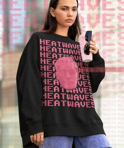 Glass Animals Heat Waves Sweatshirt | Retro 90s Tees, Viral Sweater, Glass Animals Merch for Fans