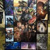 How To Train Your Dragon Blanket AA22 for Fantasy Fans