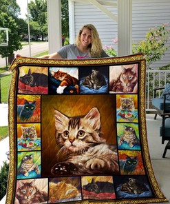 Lazy Cat Perfect Gifts For Cat Lover Quilt Blanket - A Fun and Relaxed Quilt Bedding Set for the Lazy Cat Lovers