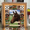 Painted Horses Quilt Bed Set