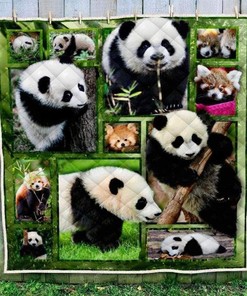 Panda Baby Photography Art Quilt Blanket - Celebrate the Cuteness of Baby Pandas