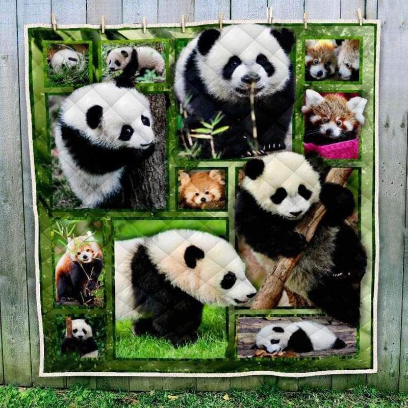Panda Baby Photography Art Quilt Blanket - Celebrate the Cuteness of Baby Pandas