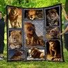 Photography Art Lion Collection Quilt Blanket - Unique Gifts for Animal Lovers