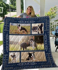Play On The Pampasgrass Boston Terrier Quilt Blanket with Elegant Design