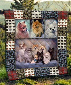 Pomeranian Pets Dog Cute Quilt Blanket with Fluffy Puppy Design