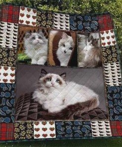 Ragdoll Cat Cute Quilt Blanket - A Perfect Addition to Your Quilt Bedding Set