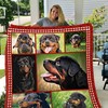 Rottweiler On The Green Grass Quilt Blanket Great Customized Bed Set Queen Gifts
