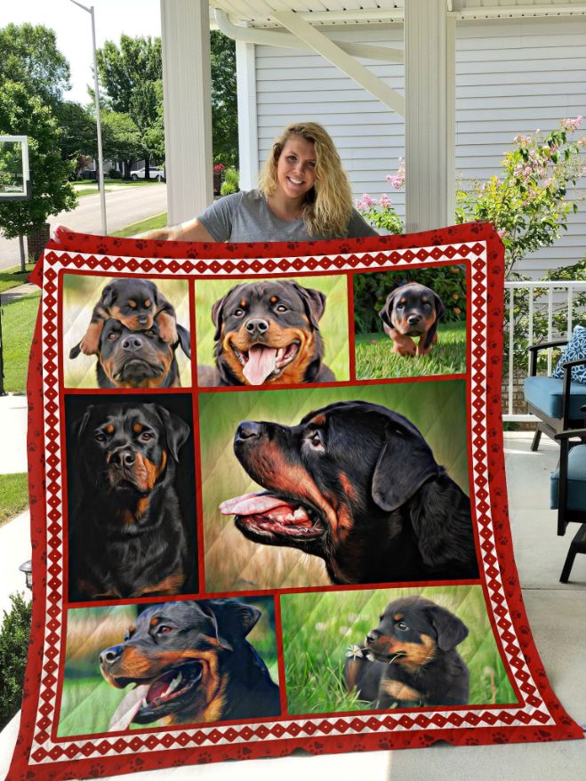 Rottweiler On The Green Grass Quilt Blanket Great Customized Bed Set Queen Gifts