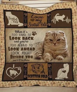 Scottish Fold Cat When It's Too Hard To Look Back Quilt Bedding Set Great