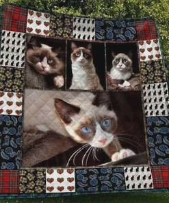 Snowshoe Cat Quilt Bedding Set Great Customized Gifts for Birthday Christmas Thanksgiving