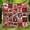 The Big Red Cornell Big Red Ncaa Quilt Bedding Set for Teens