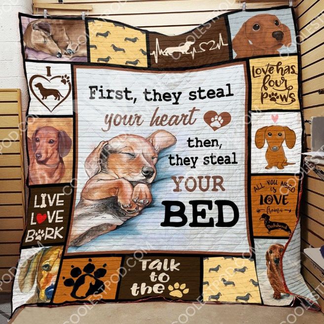 They Steal Your Heart Then They Steal Your Bed Quilt Bedding Set - Playful and Sentimental Quilt Set for Pet Lovers
