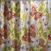2008 Botanical Print Butterflies Pottery Barn Shower Curtain 