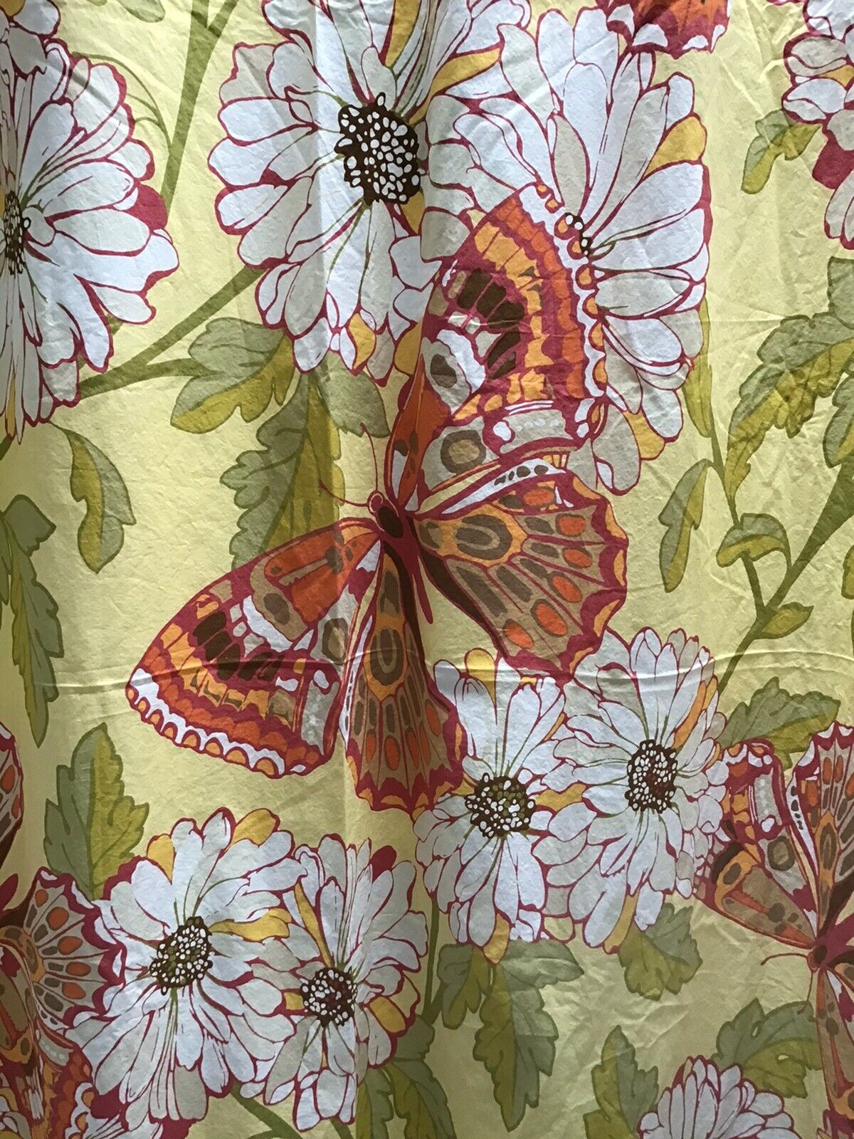 2008 Botanical Print Butterflies Pottery Barn Shower Curtain