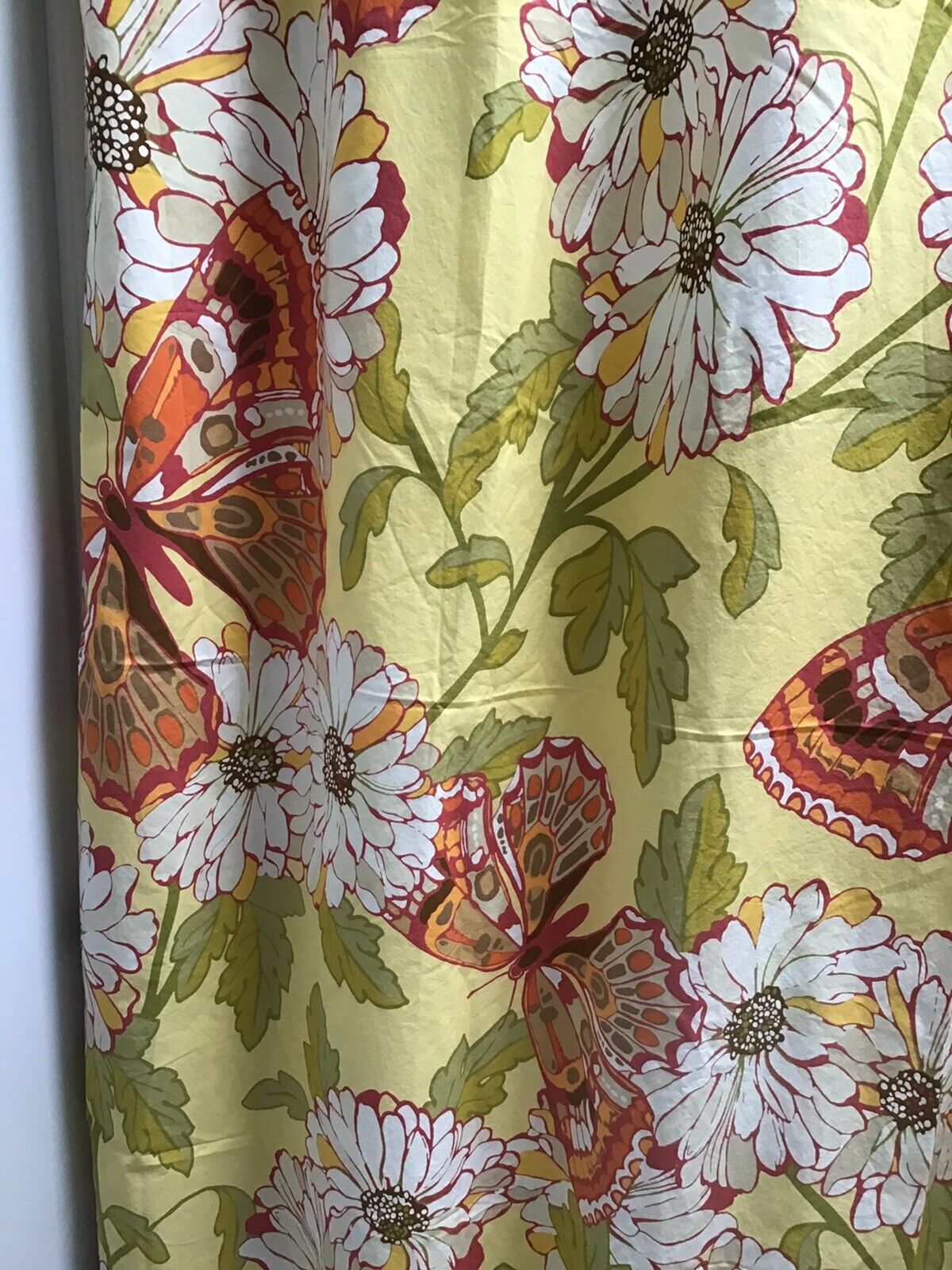 2008 Botanical Print Butterflies Pottery Barn Shower Curtain