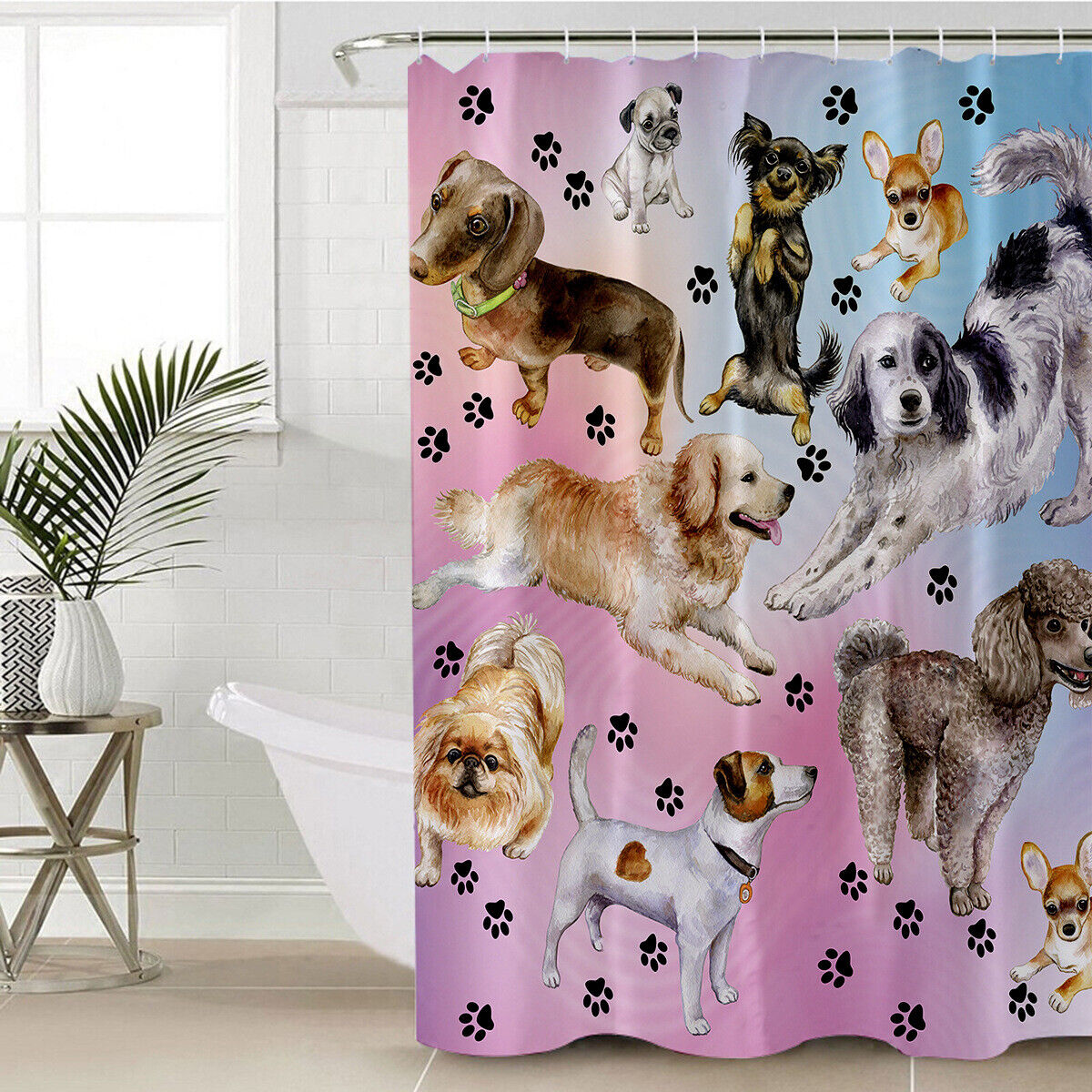3D Chihuahua Dog Border Collie Shower Curtain - Cute Animal Prints
