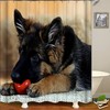 3D Dog Animal Waterproof Shower Curtain Set - Cute Animal Prints
