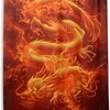 3D Print Dragon Fire Shower Curtain - Waterproof Bath Curtain by WELLDAY with Curtain Full Size