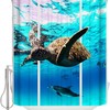3D Sea Turtle Dolphin Ocean Shower Curtain For A Marine Bathroom