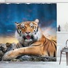 Add a Calming Touch to Your Bathroom with Tiger Sunset Shower Curtain