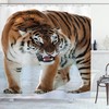 Add an Element of Wildness to Your Bathroom with Siberian Predator Tiger Shower Curtain