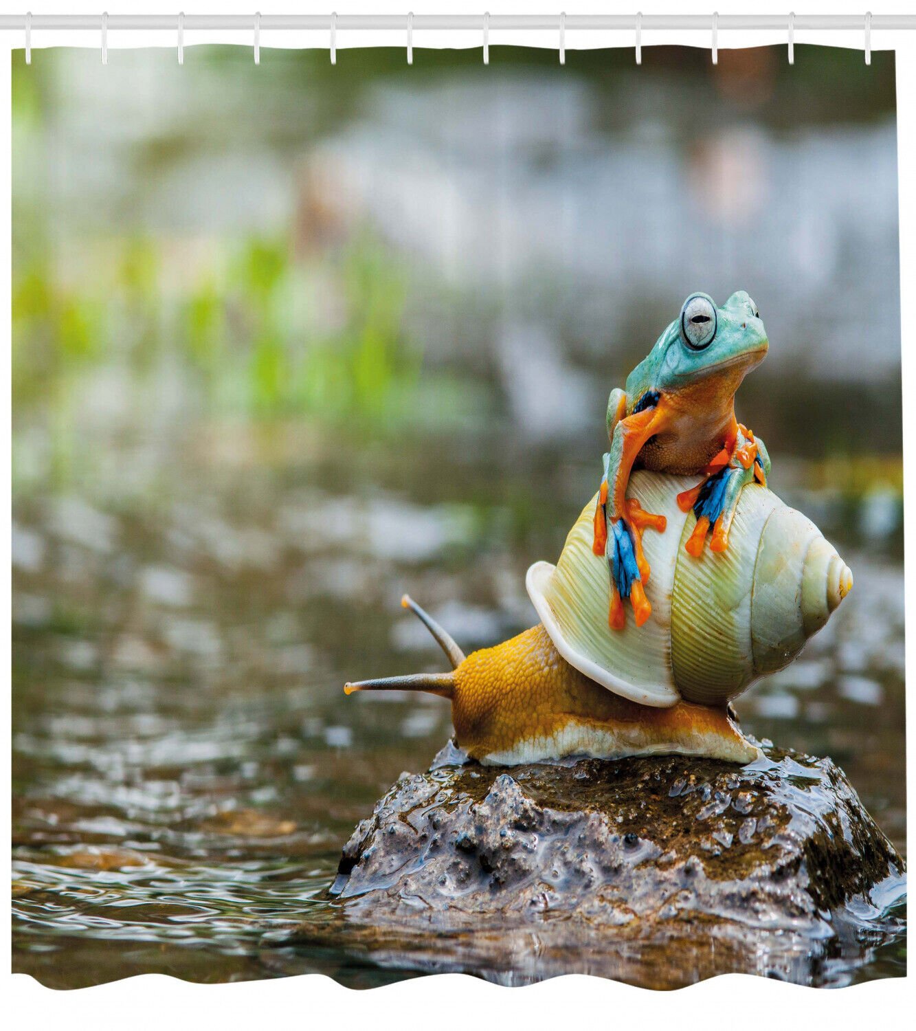 Adorable And Cute Frog Above The Snail Print Shower Curtain, Perfect Bathroom Decor Idea For Animal Lovers