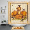Adorable Bear Shower Curtain For Bathroom Decor With Wildlife-Inspired Design