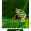 Adorable Frog Pattern Waterproof Shower Curtain - A Cute And Playful Addition To Your Bathroom