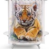 Adorable Little Tiger Fabric Shower Curtain for Kids Bathroom 