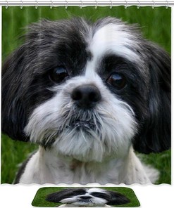 Adorable Shih Tzu Dog Puppy Waterproof Shower Curtain for Bathroom Curtain