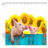 Adorable Sunflower Pig Family Fabric Shower Curtain to Add A Touch of Whimsy to Your Bathroom