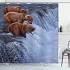 Africa Shower Curtain - Grizzly Bears Fishing In The River Waterfalls Cascade In Alaska Nature Camp View