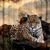 African Animal Safari Leopard Wildlife Fabric Shower Curtain For Bathroom Decor