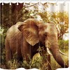 African Elephant Shower Curtain With Tropical Sunset Scenery