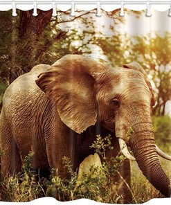 African Elephant Shower Curtain With Tropical Sunset Scenery