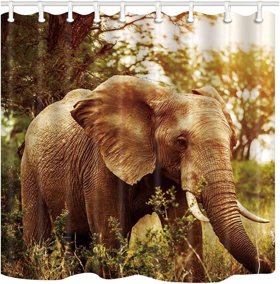 African Elephant Shower Curtain With Tropical Sunset Scenery