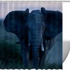 African Elephant Shower Curtain for Wildlife Lovers