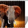 African Elephant Shower Curtain to Showcase Your Love for Wildlife