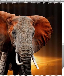 African Elephant Shower Curtain to Showcase Your Love for Wildlife