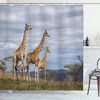 African Giraffe Family Print Shower Curtain - Safari Bathroom Decor