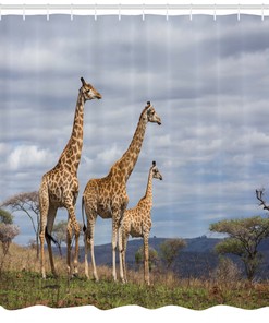 African Giraffe Family Print Shower Curtain - Safari Bathroom Decor