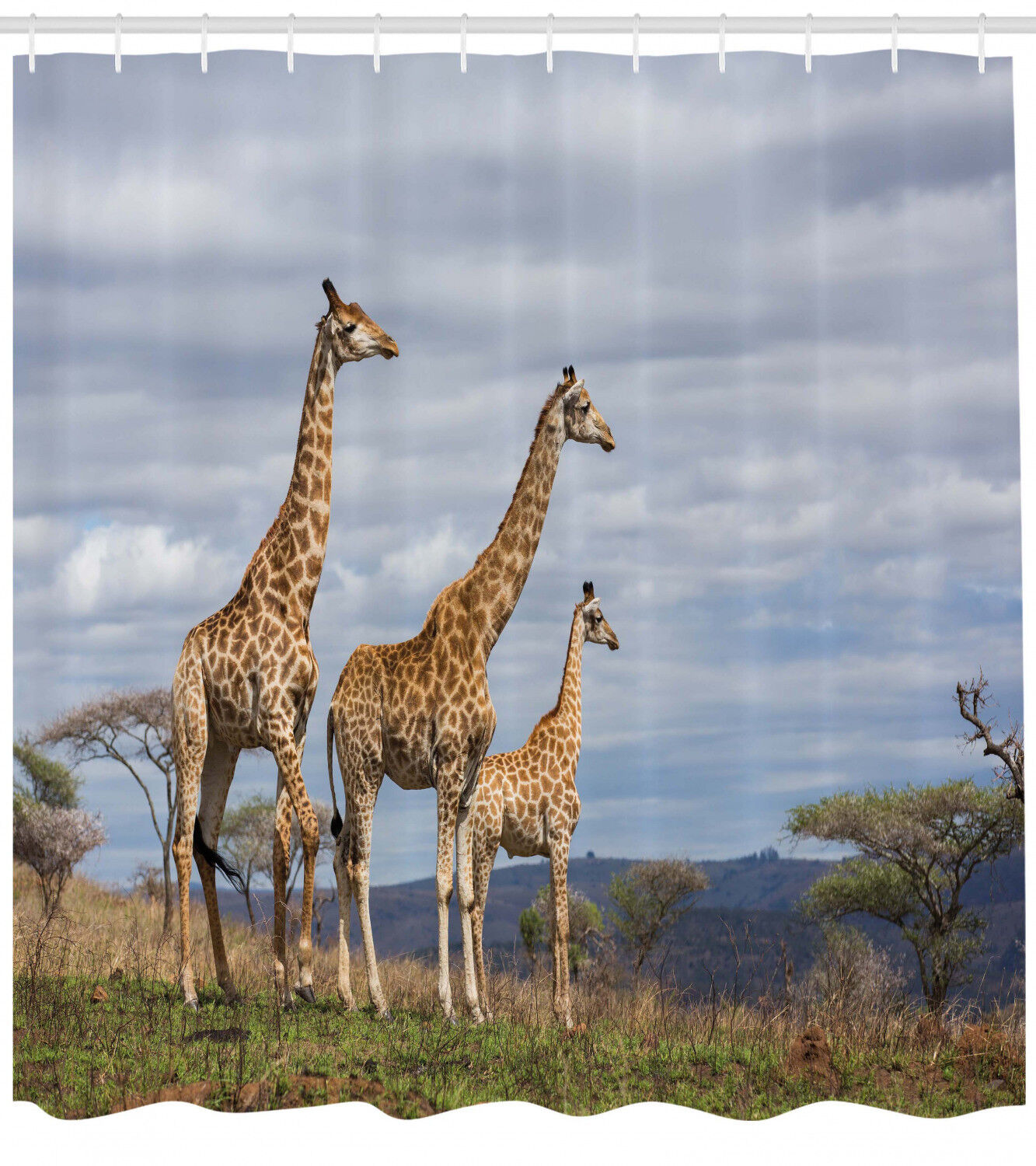 African Giraffe Family Print Shower Curtain - Safari Bathroom Decor