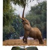 African Wild Elephant Nose Seed Pods Waterproof Shower Curtain For Your Bathroom