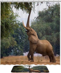 African Wild Elephant Nose Seed Pods Waterproof Shower Curtain For Your Bathroom