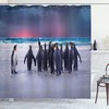 Ambesonne King Penguins On Shore Shower Curtain With Sandy Beach Waves, Blue Pearl Bathroom Decors