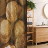 Ambesonne Vintage Baseball Stall Shower Curtain With American Sports Theme Retro Balls Artwork